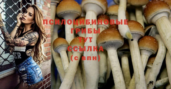 ешки Балабаново